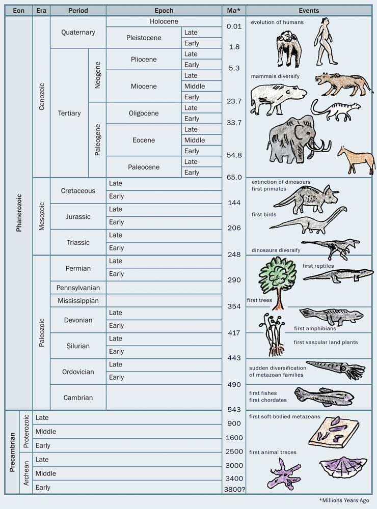 geologic time scale animals. and time scale as depicted